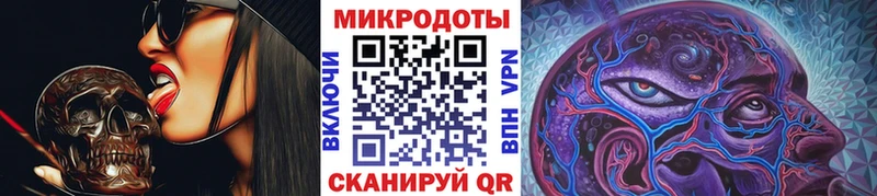 Псилоцибиновые грибы прущие грибы  Красный Холм 