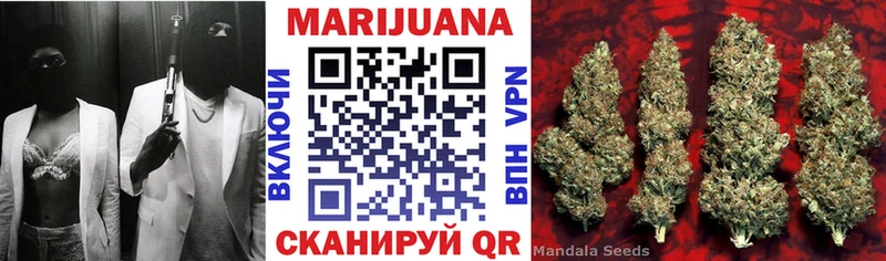 купить наркотики цена  МЕГА tor  Шишки марихуана планчик  Красный Холм 